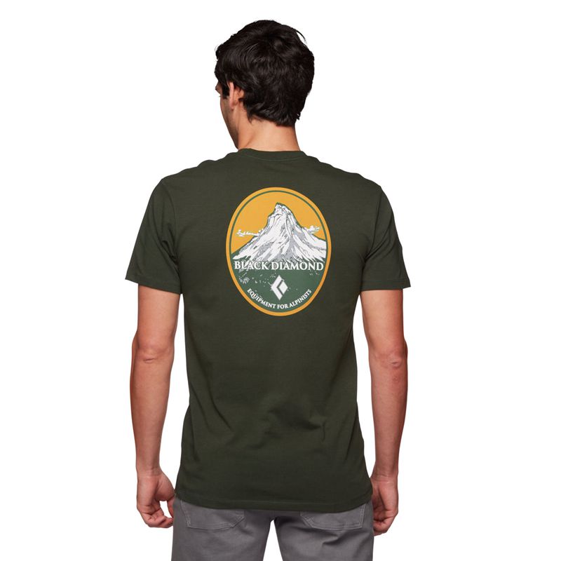 Tops Black Diamond BD Mountain Badge SS Hombre Gris Verde | APFDHC-371