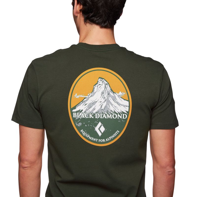 Tops Black Diamond BD Mountain Badge SS Hombre Gris Verde | APFDHC-371